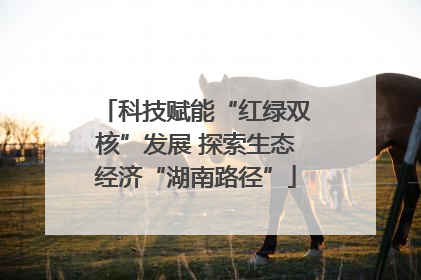 科技赋能“红绿双核”发展 探索生态经济“湖南路径”