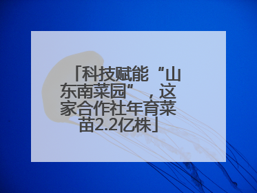 科技赋能“山东南菜园”，这家合作社年育菜苗2.2亿株