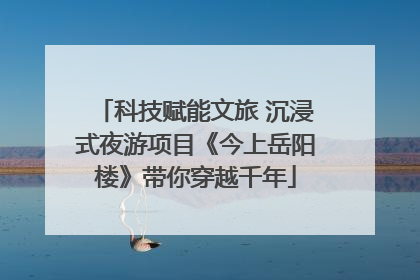 科技赋能文旅 沉浸式夜游项目《今上岳阳楼》带你穿越千年