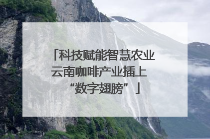 科技赋能智慧农业 云南咖啡产业插上“数字翅膀”