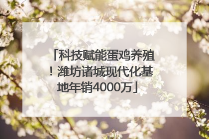科技赋能蛋鸡养殖！潍坊诸城现代化基地年销4000万
