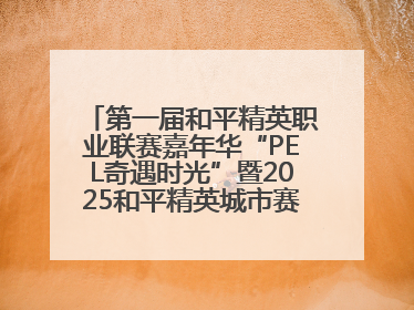 第一届和平精英职业联赛嘉年华“PEL奇遇时光”暨2025和平精英城市赛总决赛盛大启幕