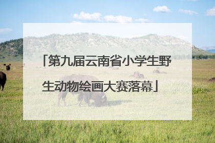 第九届云南省小学生野生动物绘画大赛落幕