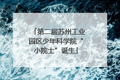 第二届苏州工业园区少年科学院“小院士”诞生