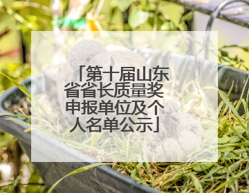 第十届山东省省长质量奖申报单位及个人名单公示