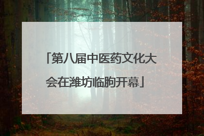 第八届中医药文化大会在潍坊临朐开幕