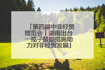 第四届中非经贸博览会丨湖南出台一揽子鼓励措施助力对非经贸发展