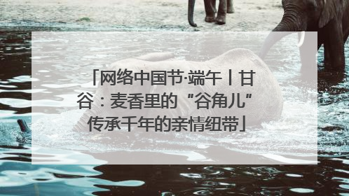 网络中国节·端午丨甘谷：麦香里的“谷角儿” 传承千年的亲情纽带
