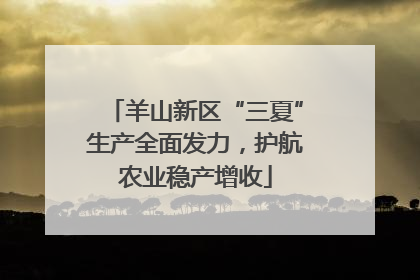 羊山新区“三夏”生产全面发力，护航农业稳产增收