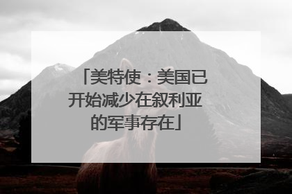 美特使：美国已开始减少在叙利亚的军事存在