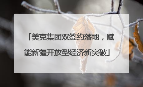 美克集团双签约落地，赋能新疆开放型经济新突破