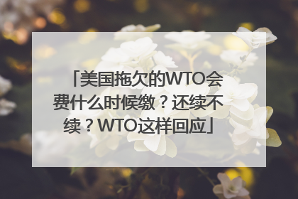 美国拖欠的WTO会费什么时候缴？还续不续？WTO这样回应