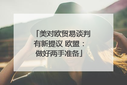 美对欧贸易谈判有新提议 欧盟：做好两手准备