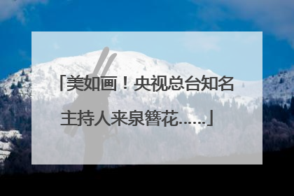 美如画！央视总台知名主持人来泉簪花……