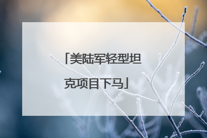 美陆军轻型坦克项目下马