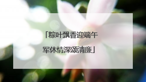 粽叶飘香迎端午 军休情深颂清廉