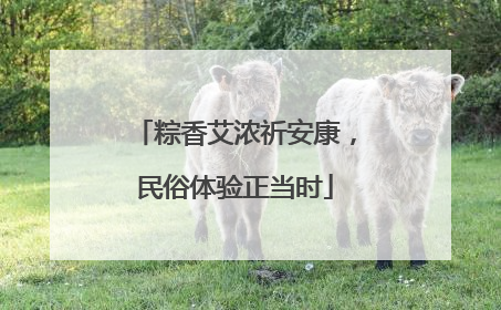 粽香艾浓祈安康，民俗体验正当时