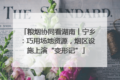 粮烟协同看湖南丨宁乡：巧用场地资源，烟区设施上演“变形记”