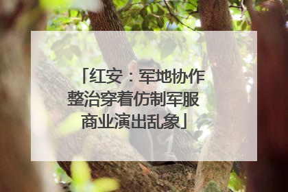 红安：军地协作整治穿着仿制军服商业演出乱象