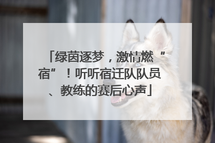 绿茵逐梦，激情燃“宿”！听听宿迁队队员、教练的赛后心声
