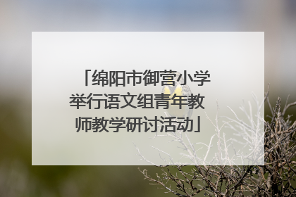 绵阳市御营小学举行语文组青年教师教学研讨活动