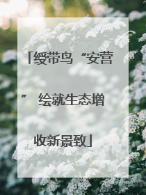 绶带鸟“安营” 绘就生态增收新景致