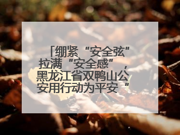 绷紧“安全弦”拉满“安全感”，黑龙江省双鸭山公安用行动为平安“加码”