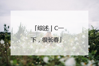 综述｜C一下，很长春