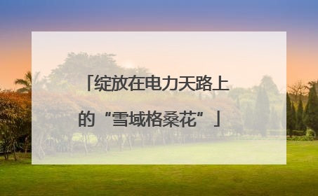 绽放在电力天路上的“雪域格桑花”
