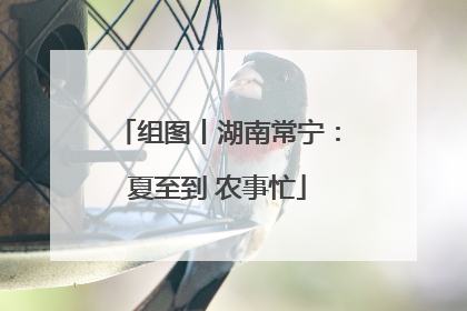 组图丨湖南常宁：夏至到 农事忙