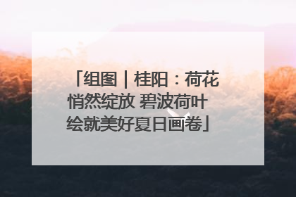 组图｜桂阳：荷花悄然绽放 碧波荷叶绘就美好夏日画卷