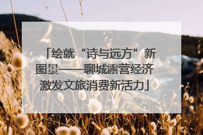 绘就“诗与远方”新图景——聊城露营经济激发文旅消费新活力