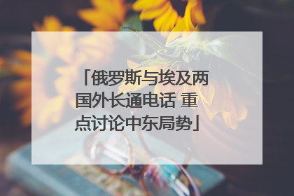 俄罗斯与埃及两国外长通电话 重点讨论中东局势
