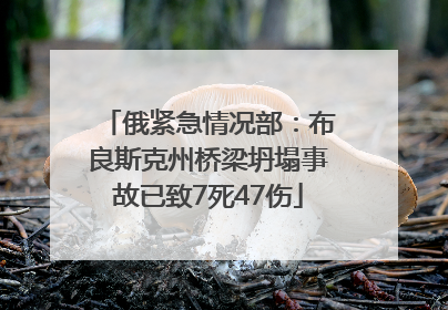 俄紧急情况部：布良斯克州桥梁坍塌事故已致7死47伤