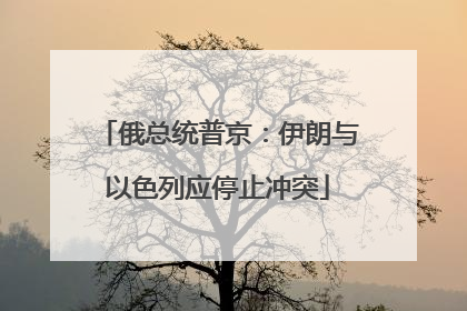 俄总统普京：伊朗与以色列应停止冲突