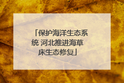 保护海洋生态系统 河北推进海草床生态修复