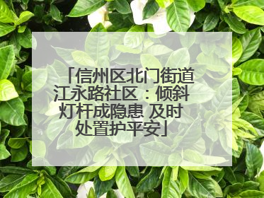 信州区北门街道江永路社区：倾斜灯杆成隐患 及时处置护平安