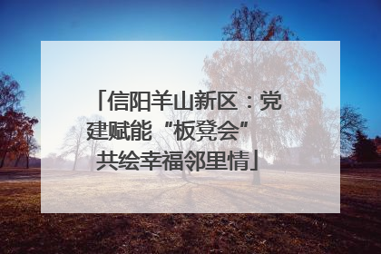 信阳羊山新区：党建赋能“板凳会” 共绘幸福邻里情