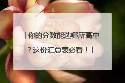 你的分数能选哪所高中？这份汇总表必看！