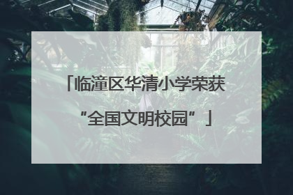 临潼区华清小学荣获“全国文明校园”