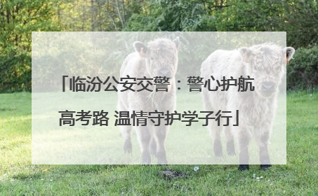临汾公安交警：警心护航高考路 温情守护学子行