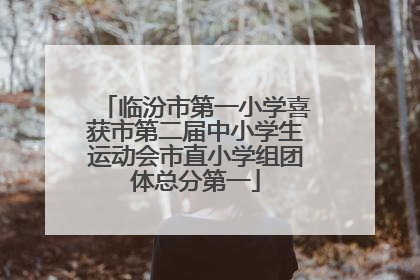 临汾市第一小学喜获市第二届中小学生运动会市直小学组团体总分第一