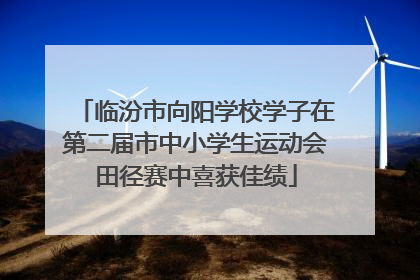 临汾市向阳学校学子在第二届市中小学生运动会田径赛中喜获佳绩