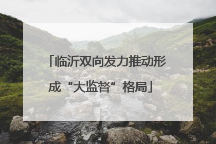 临沂双向发力推动形成“大监督”格局