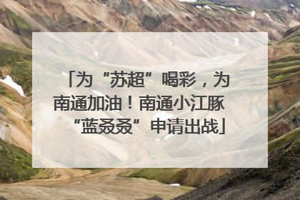 为“苏超”喝彩，为南通加油！南通小江豚“蓝叒叒”申请出战