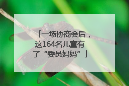 一场协商会后，这164名儿童有了“委员妈妈”