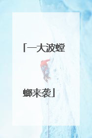 一大波螳螂来袭