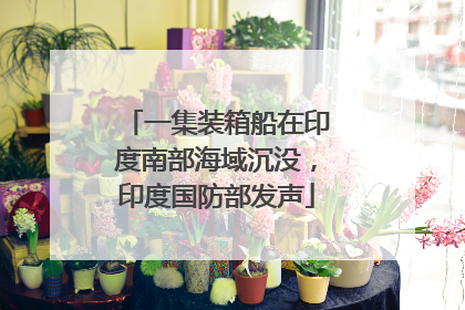 一集装箱船在印度南部海域沉没，印度国防部发声