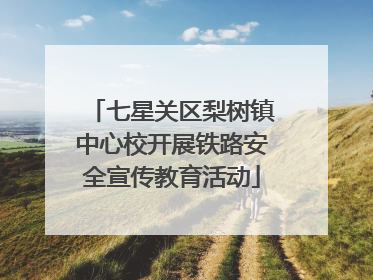 七星关区梨树镇中心校开展铁路安全宣传教育活动