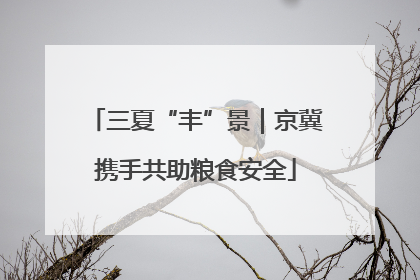 三夏“丰”景｜京冀携手共助粮食安全
